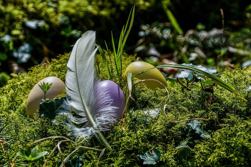 Forest-themed Lighting